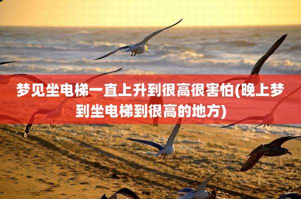 梦见坐电梯一直上升到很高很害怕(晚上梦到坐电梯到很高的地方)