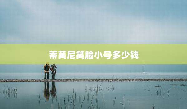 蒂芙尼笑脸小号多少钱
