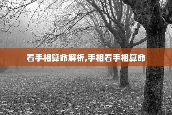 看手相算命解析,手相看手相算命