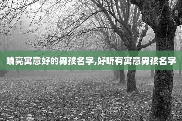 响亮寓意好的男孩名字,好听有寓意男孩名字