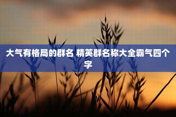 大气有格局的群名 精英群名称大全霸气四个字