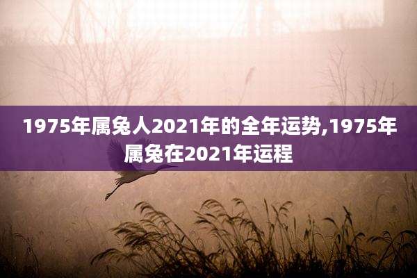 1975年属兔人2021年的全年运势,1975年属兔在2021年运程