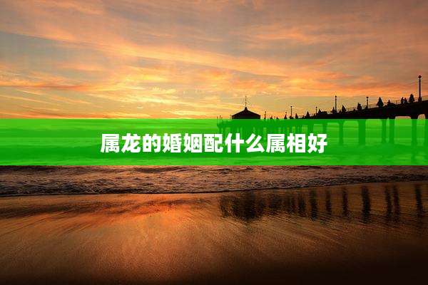 属龙的婚姻配什么属相好
