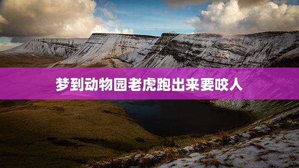 梦到动物园老虎跑出来要咬人