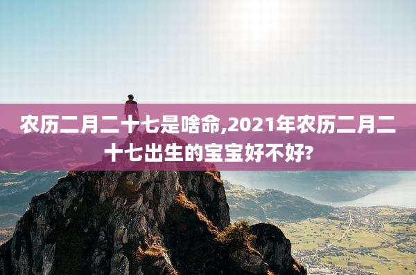 农历二月二十七是啥命,2021年农历二月二十七出生的宝宝好不好?