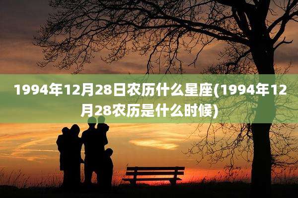 1994年12月28日农历什么星座(1994年12月28农历是什么时候)