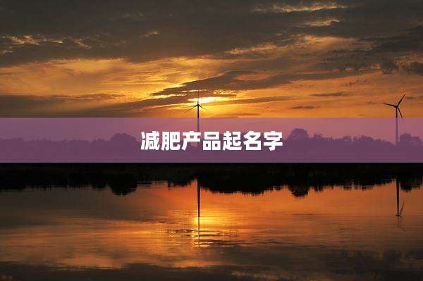 减肥产品起名字