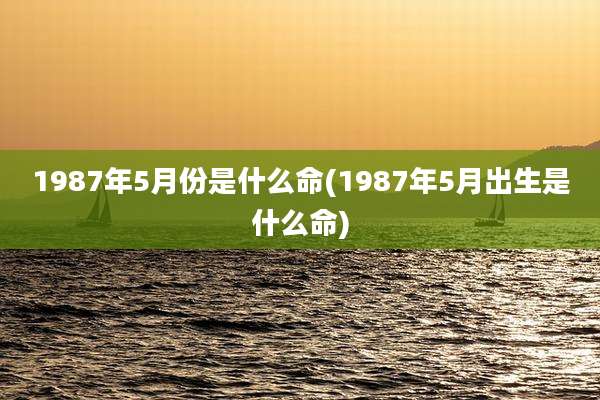 1987年5月份是什么命(1987年5月出生是什么命)