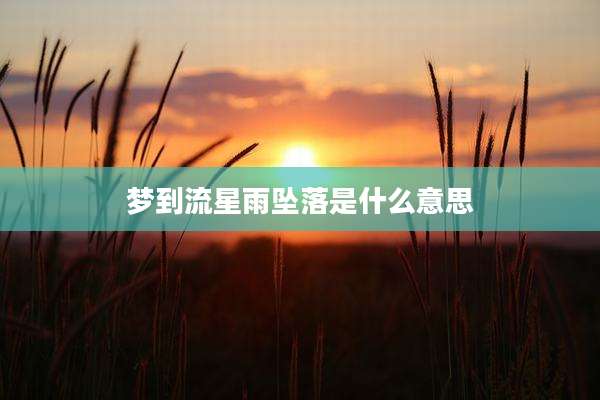 梦到流星雨坠落是什么意思