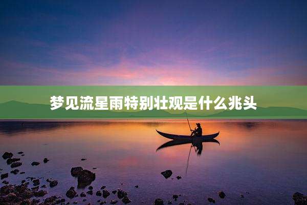 梦见流星雨特别壮观是什么兆头