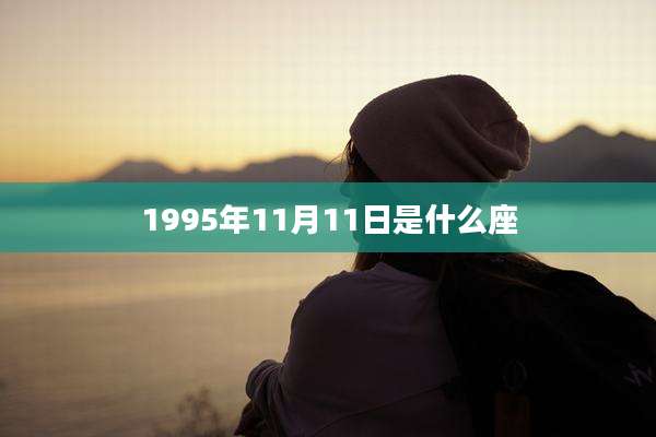 1995年11月11日是什么座