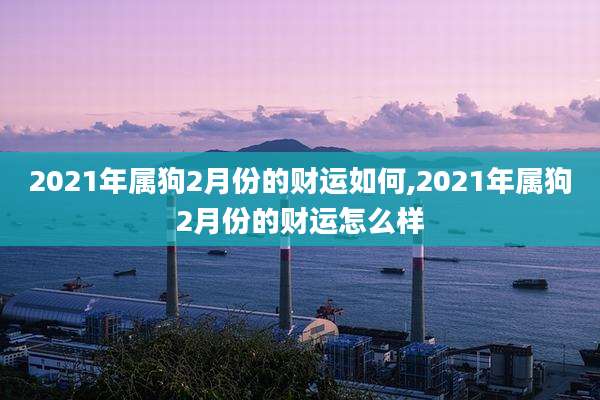 2021年属狗2月份的财运如何,2021年属狗2月份的财运怎么样