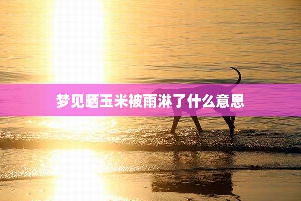 梦见晒玉米被雨淋了什么意思