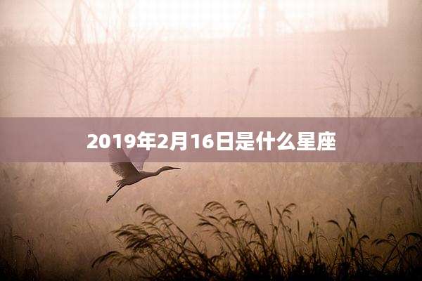 2019年2月16日是什么星座