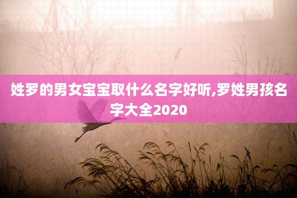 姓罗的男女宝宝取什么名字好听,罗姓男孩名字大全2020
