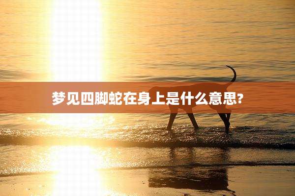 梦见四脚蛇在身上是什么意思?