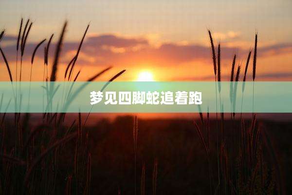 梦见四脚蛇追着跑