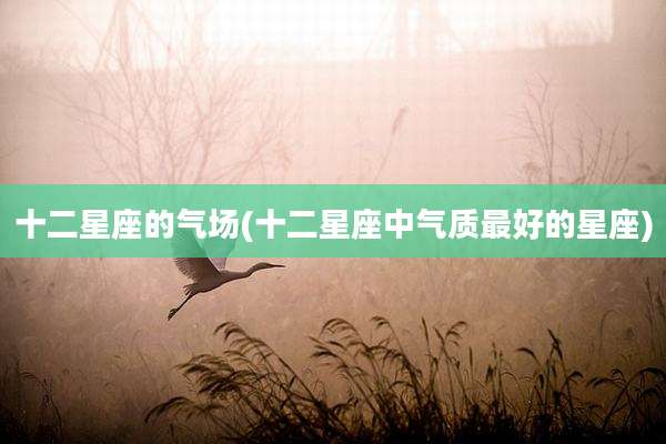 十二星座的气场(十二星座中气质最好的星座)