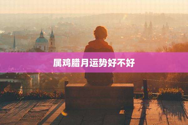 属鸡腊月运势好不好