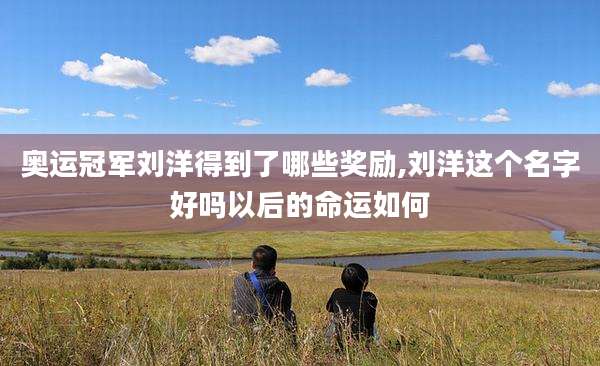 奥运冠军刘洋得到了哪些奖励,刘洋这个名字好吗以后的命运如何