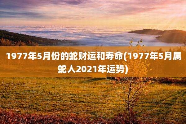 1977年5月份的蛇财运和寿命(1977年5月属蛇人2021年运势)