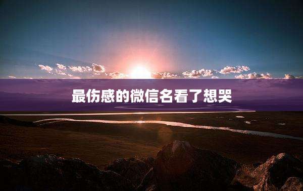 最伤感的微信名看了想哭