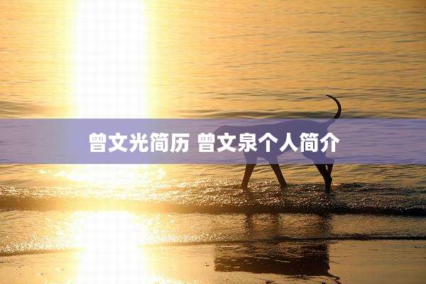 曾文光简历 曾文泉个人简介