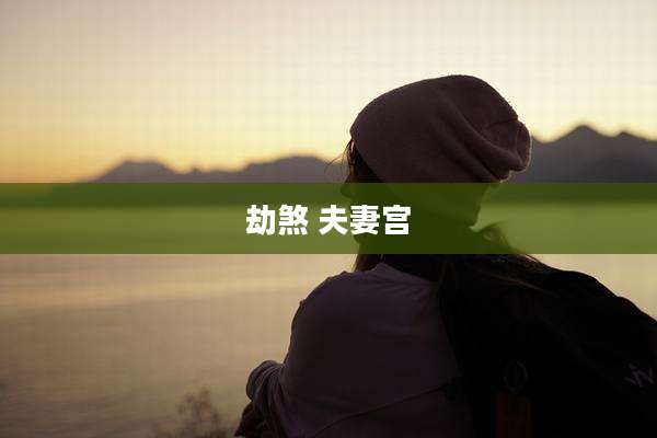 劫煞 夫妻宫