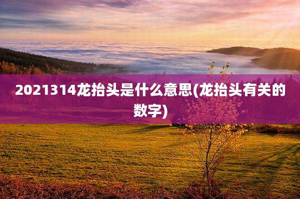 2021314龙抬头是什么意思(龙抬头有关的数字)