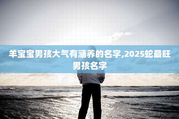 羊宝宝男孩大气有涵养的名字,2025蛇最旺男孩名字