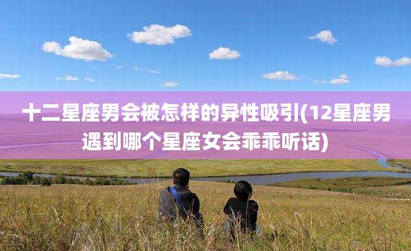 十二星座男会被怎样的异性吸引(12星座男遇到哪个星座女会乖乖听话)