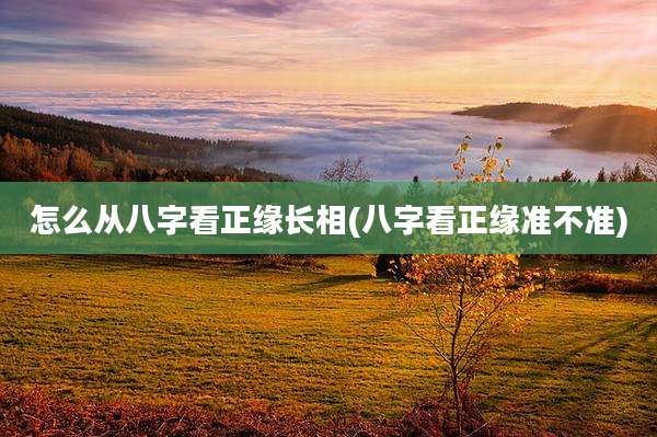 怎么从八字看正缘长相(八字看正缘准不准)