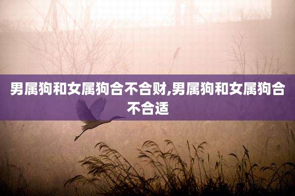 男属狗和女属狗合不合财,男属狗和女属狗合不合适
