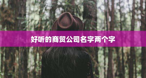 好听的商贸公司名字两个字