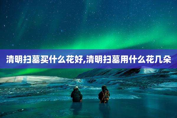 清明扫墓买什么花好,清明扫墓用什么花几朵