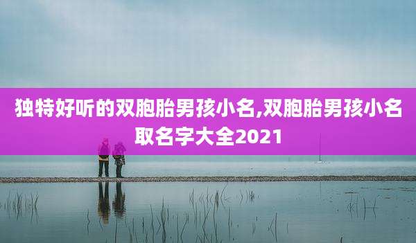 独特好听的双胞胎男孩小名,双胞胎男孩小名取名字大全2021