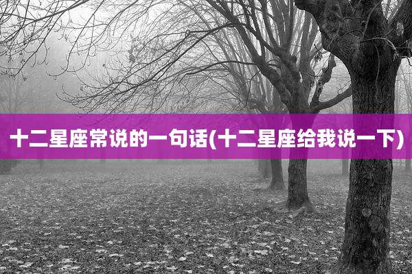 十二星座常说的一句话(十二星座给我说一下)