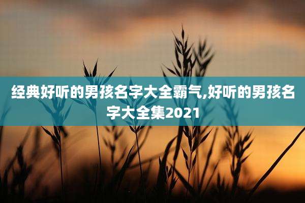 经典好听的男孩名字大全霸气,好听的男孩名字大全集2021