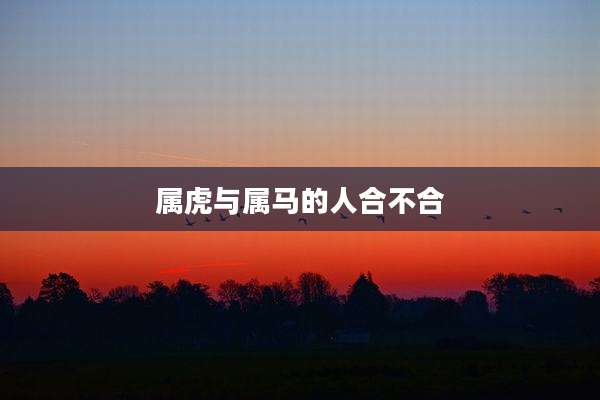 属虎与属马的人合不合