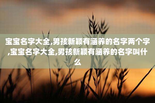 宝宝名字大全,男孩新颖有涵养的名字两个字,宝宝名字大全,男孩新颖有涵养的名字叫什么