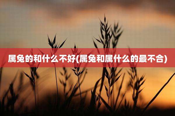 属兔的和什么不好(属兔和属什么的最不合)