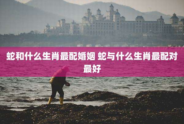 蛇和什么生肖最配婚姻 蛇与什么生肖最配对最好