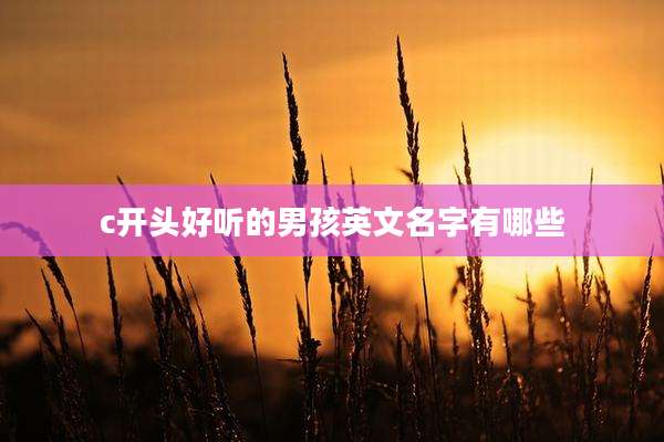 c开头好听的男孩英文名字有哪些