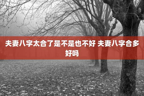 夫妻八字太合了是不是也不好 夫妻八字合多好吗