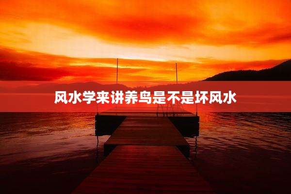风水学来讲养鸟是不是坏风水