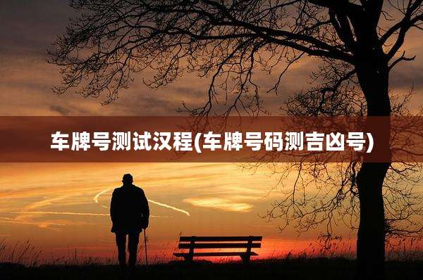 车牌号测试汉程(车牌号码测吉凶号)
