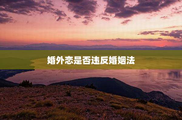 婚外恋是否违反婚姻法