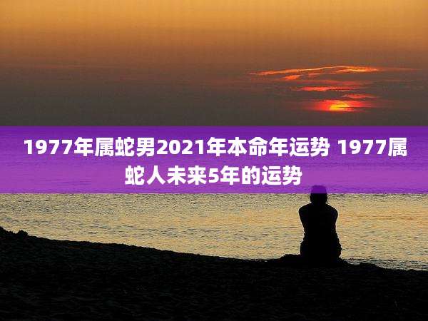 1977年属蛇男2021年本命年运势 1977属蛇人未来5年的运势