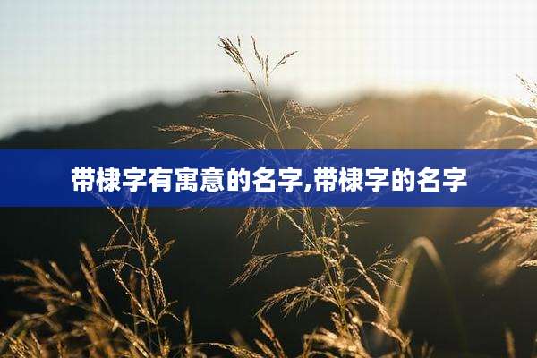 带棣字有寓意的名字,带棣字的名字