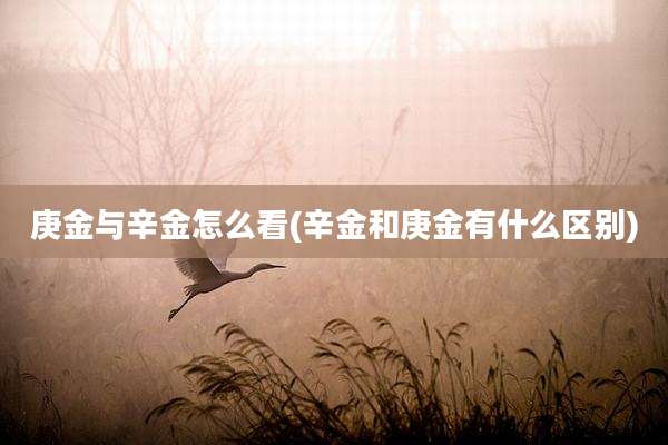 庚金与辛金怎么看(辛金和庚金有什么区别)